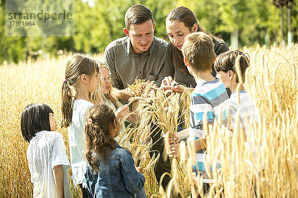 Schulkinder auf einer Exkursion  bei der sie Weizenähren begutachten