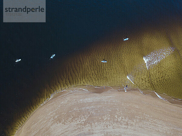 Aerial view of people surfing in coastal waters of Barents Sea