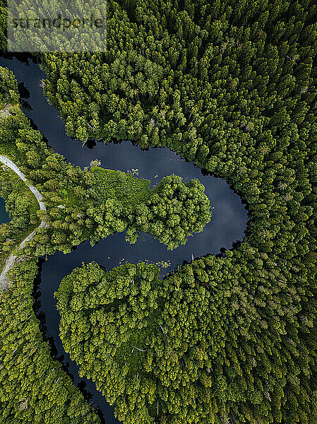 Russland  Republik Karelien  Sortavala  Luftaufnahme des grünen Waldes rund um die Kurve des Flusses Tohmajoki im Sommer