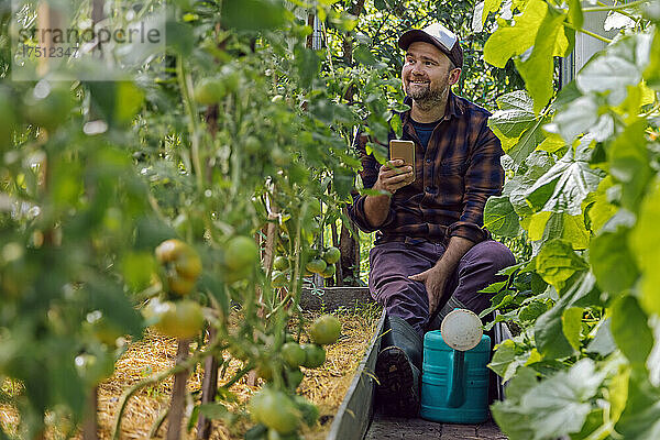 Farmer with mobile phone and watering can sitting in greenhouse at tomato plants