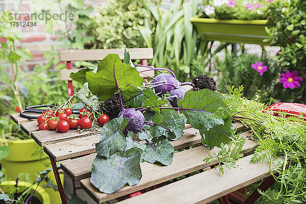 Nahaufnahme von Pflanzen und Gemüse über dem Tisch im Stadtgarten