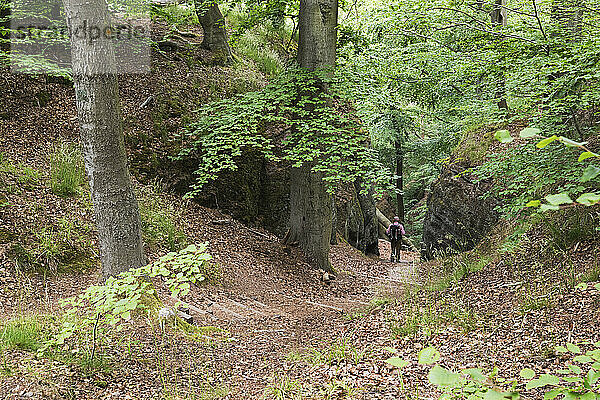 Mitteldistanzansicht eines älteren Mannes beim Spazierengehen im Thüringer Wald  Deutschland