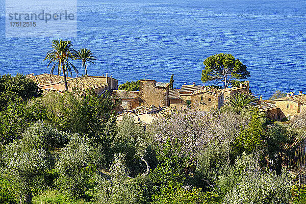 Spanien  Mallorca  Llucalcari  Küstendorf in der Serra de Tramuntana