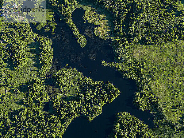 Russland  Oblast Leningrad  Tichwin  Luftaufnahme des Flusses Tichwinka im Sommer
