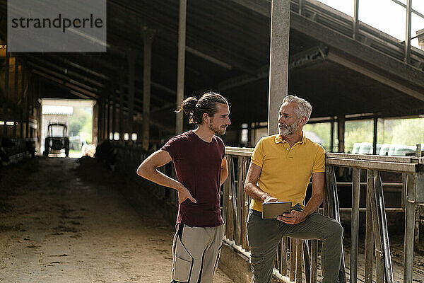 Mature farmer with tablet and adult son on a farm