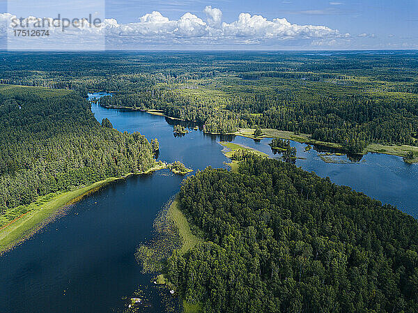 Luftaufnahme des grünen Waldes rund um den Fluss Vuoksi im Sommer