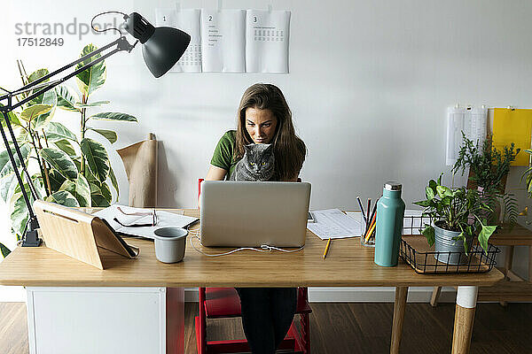 Geschäftsfrau mit Katze benutzt Laptop auf Schreibtisch im Heimbüro