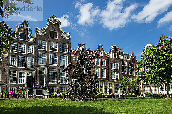Wohngebäude vor blauem Himmel in Nordholland  Niederlande