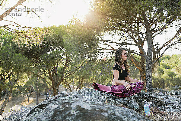 Yogalehrer meditiert im Wald