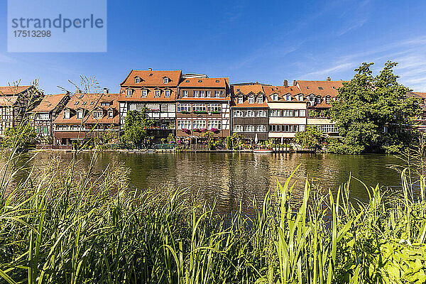 Deutschland  Bayern  Bamberg  Stadthäuser am Fluss Regnitz und Klein-Venedig im Frühling