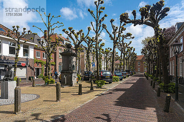 Niederlande  Südholland  Noordwijk  von Bäumen gesäumter Kopfsteinpflasterweg entlang der historischen Straße