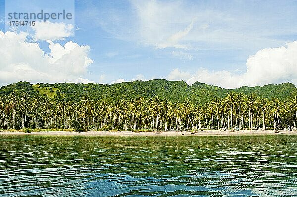 Palmen am Nippah Beach auf Lombok  einer tropischen Insel in West Nusa Tenggara  Indonesien  Asien  Hintergrund mit Kopierraum