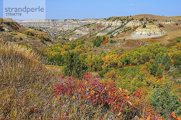 Nordamerika  USA  Nord Dakota  Watford  Badlands