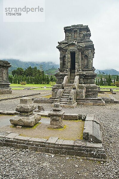 Ruinen eines Tempels im hinduistischen Candi Arjuna-Tempelkomplex  Dieng-Plateau  Zentraljava  Indonesien  Asien  Asien