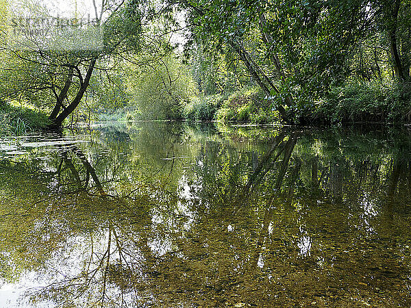 Der Fluss Little Ouse bildet die Grenze zwischen Norfolk und Suffolk  Großbritannien