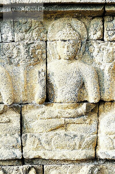 Nahaufnahme eines Details der steinernen Basrelief-Schnitzereien  die die Wände des Borobudur-Tempels säumen  Yogyakarta  Java  Indonesien  Asien