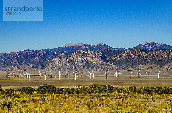 Nordamerika  USA  Nevada  Major's Place  Windpark