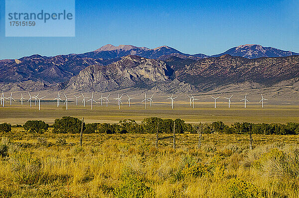 Nordamerika  USA  Nevada  Crystal Springs  Basin And Range National Monument  Windpark