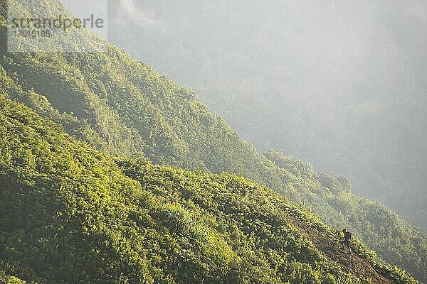 Wanderer klettert bei Sonnenaufgang auf den Gipfel des Vulkans Sibayak  Berastagi  Brastagi  Nordsumatra  Indonesien  Asien