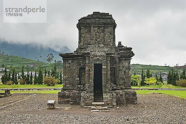 Tempel im Hindu-Tempelkomplex Candi Arjuna  Dieng-Plateau  Zentral-Java  Indonesien  Asien  Asien