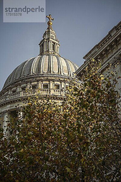 St. Pauls Cathedral  eine Londoner Touristenattraktion mit bunten orangefarbenen Herbstbäumen in der Stadt  aufgenommen während der Coronavirus-Covid-19-Pandemie  England  Vereinigtes Königreich  Europa