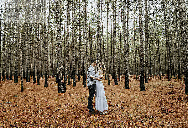 Paar umarmt sich innig in Kiefernwäldern