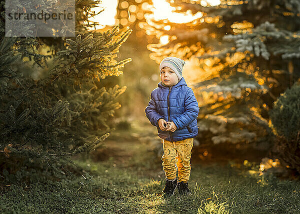 Kleiner Junge mit blauen Augen und blauer Jacke steht im Wald