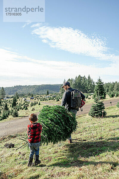 Vater und Sohn gehen mit dem Weihnachtsbaum spazieren