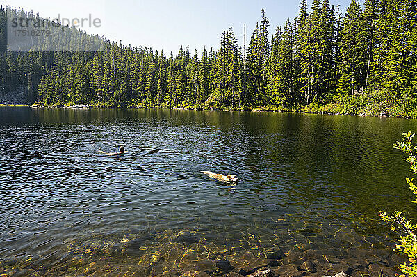 Kerl und sein Hund schwimmen in einem Alpensee