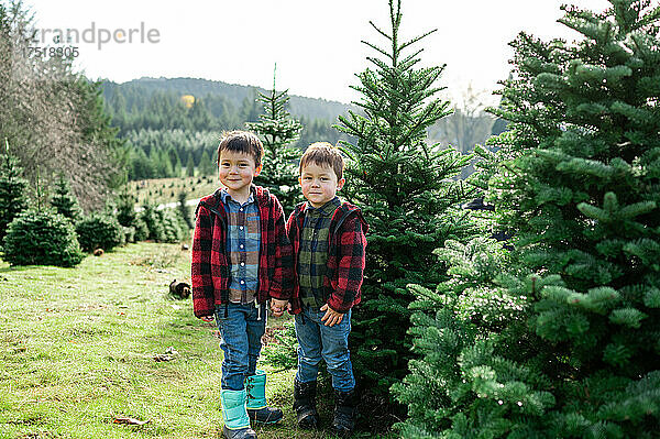 Brüder stehen vor dem Weihnachtsbaum