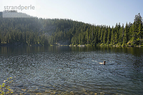 Mann schwimmt im Sommer in einem Alpensee