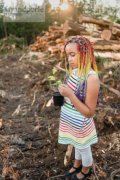 Mädchen mit Regenbogenzöpfen untersucht Schössling auf Abholzungsstelle