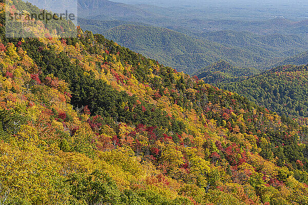 Malerischer Blick auf die Landschaft mit Herbstbäumen im Nationalpark