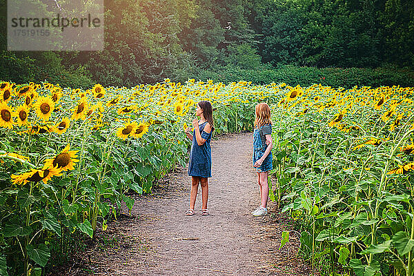 Zwei glückliche Teenager-Mädchen in einem Sonnenblumenfeld.