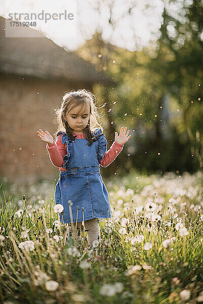 Junges Mädchen spielt mit Pusteblumen aus Löwenzahn.