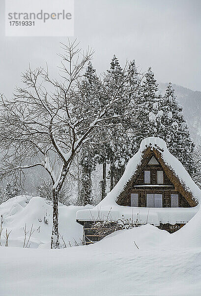 Schneebedecktes traditionelles Strohdach in Japan