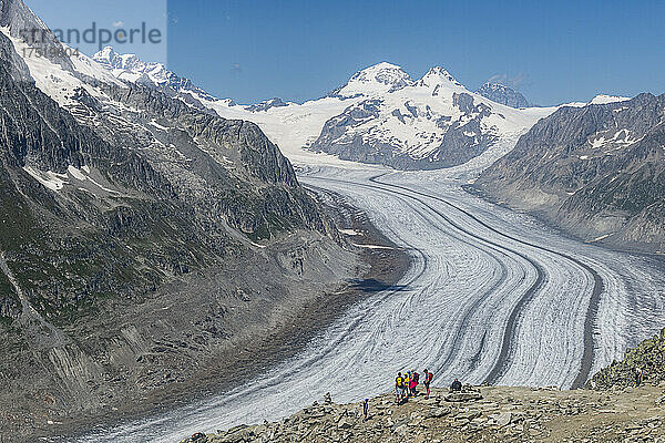 Großer Altschgletscher  UNESCO-Weltkulturerbe  Berner Alpen  Schweiz  Europa