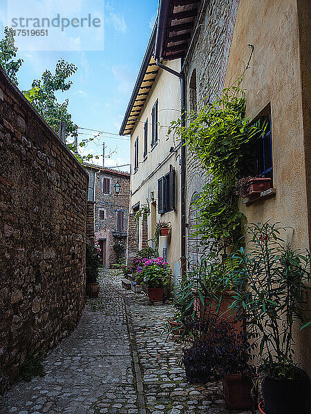 Eine typische Straße in der Altstadt von Montefalco  Montefalco  Umbrien  Italien  Europa
