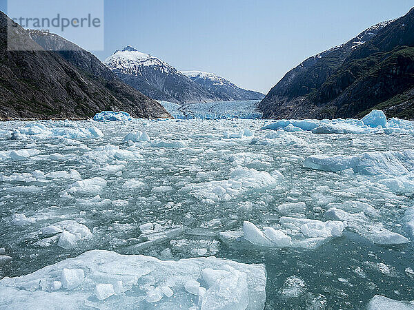 Eis kalbte vom South Sawyer Glacier  Tracy Arm  Südost-Alaska  Vereinigte Staaten von Amerika  Nordamerika