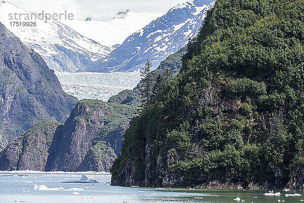 Der South Sawyer Glacier  Tracy Arm  Südost-Alaska  Vereinigte Staaten von Amerika  Nordamerika