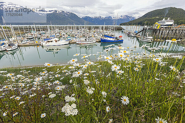 Blick auf den Hafen in Haines  Südost-Alaska  Vereinigte Staaten von Amerika  Nordamerika