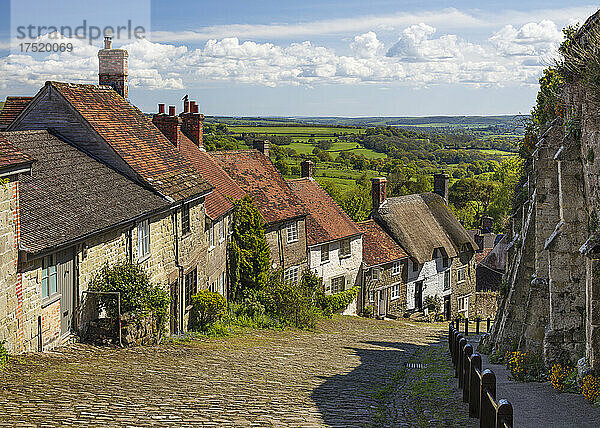 Gold Hill  gepflasterte Gasse gesäumt von Cottages und Blick über die Landschaft  Shaftesbury  Dorset  England  Vereinigtes Königreich  Europa