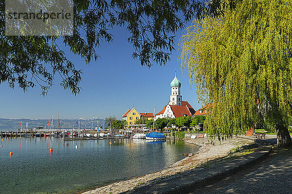 Kirche St. Georg am Bodensee  Bayern  Schwaben  Deutschland  Europa