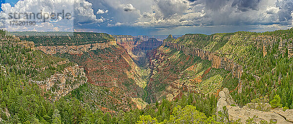 Der Kopf des Transept Canyon am Nordrand des Grand Canyon entlang des Widforss Trail  UNESCO-Weltkulturerbe  Arizona  Vereinigte Staaten von Amerika  Nordamerika