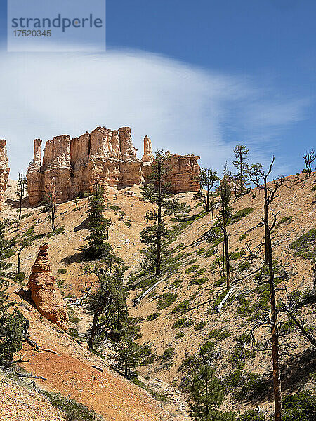 Ein Blick auf die Hoodoos vom Fairyland Trail im Bryce-Canyon-Nationalpark  Utah  Vereinigte Staaten von Amerika  Nordamerika