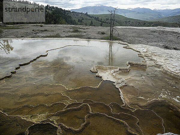 Mammoth Hot Springs Terraces  Yellowstone-Nationalpark  UNESCO-Weltkulturerbe  Wyoming  Vereinigte Staaten von Amerika  Nordamerika