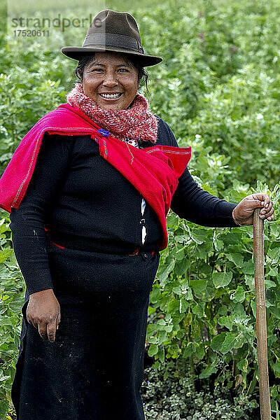 Indigene Frau in einem Quinoa-Feld in San Jose de Tanquis  Ecuador  Südamerika