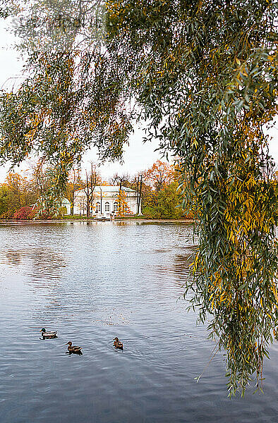 Die Halle auf dem Inselpavillon  Katharinenpark  Puschkin (Zarskoje Selo)  in der Nähe von St. Petersburg  Russland  Europa
