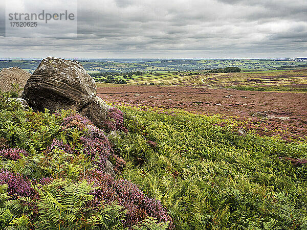 Hoher Felsen in der Nähe der Pateley Bridge in Nidderdale  Yorkshire  England  Vereinigtes Königreich  Europa