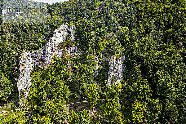 Luftaufnahme des Geissenklösterle  UNESCO-Weltkulturerbe  Höhlen und Eiszeitkunst auf der Schwäbischen Alb  Baden-Württemberg  Deutschland  Europa